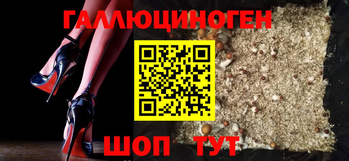 Владикавказ  сколько стоит  Вход с VPN  Галлюциногенные грибы прущие грибы 
